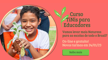 Curso para educadores - Reprodução: site TiNis
