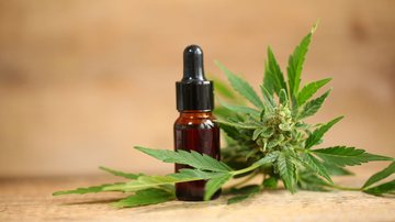 frasco de medicamento ao lado de planta de cannabis