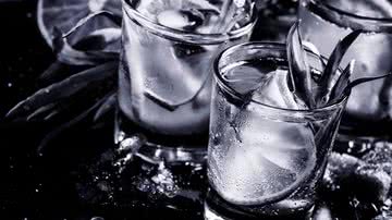 As reuniões de propósito homoafetivo de Alcoólicos Anônimos são fundamentais para mulher homoafetiva alcoólica em recuperação. - Foto: Canva Pro