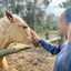 Organização social Natureza Conecta utiliza a Terapia Assistida por Animais como ferramenta de cuidado em saúde mental. - Foto: Divulgação
