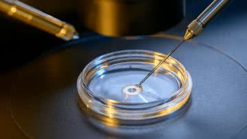 representação de óvulo sendo fertilizado em ambiente laboratorial