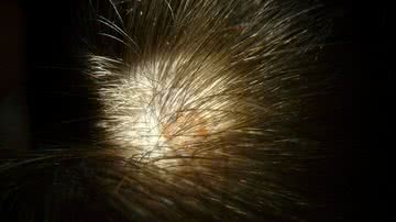 Foco de luz em pinta no couro cabeludo