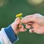 Embora a maternidade possa ser mais difícil para umas do que para outras, é um desafio para todas. - Foto: Canva Pro