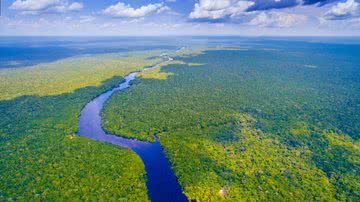 Foto aérea da Amazônia, com rio cortando a floresta