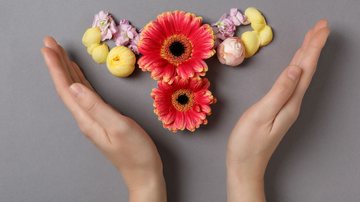 Flores simulam o formato do sistema reprodutivo feminino