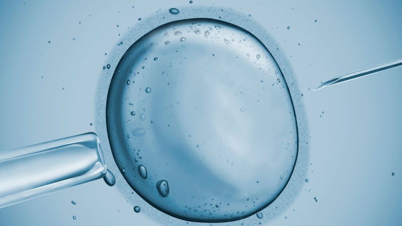 Congelamento de óvulos permite à mulher diagnosticada com câncer a possibilidade de planejar seu futuro reprodutivo - Foto: Canva Pro