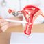 Médico aponta sistema reprodutor feminino em modelo anatômico