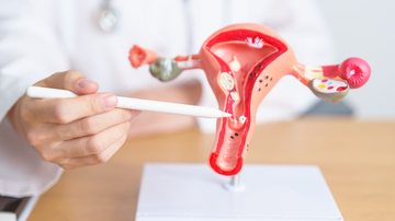 Médico aponta sistema reprodutor feminino em modelo anatômico