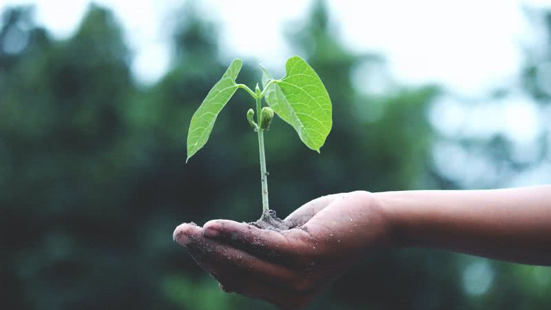 As próximas gerações serão as mais afetadas pelas mudanças climáticas