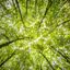 O contato com a natureza faz bem à saúde