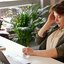 A confusão mental pode ser um sintoma da menopausa - pexels