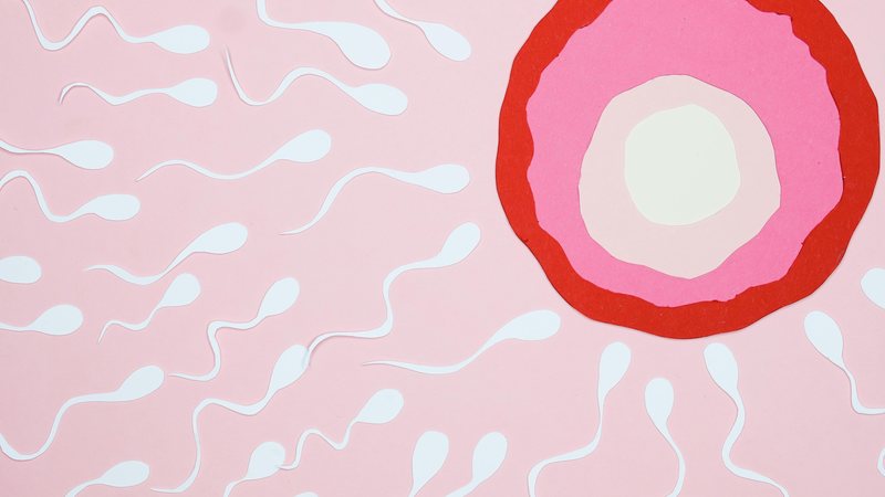 Saiba mais sobre congelamento de óvulos - pexels