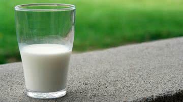 Dia 1 de junho é o dia internacional do leite