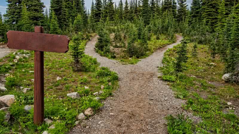 Que caminho seguir? - pexels