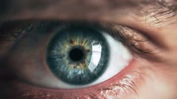 O dia 10 de julho é o Dia da Saúde Ocular