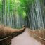 Aprenda a abrir caminhos - pexels