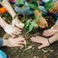 Hoje é celebrado o Dia Mundial do Meio Ambiente - Canva