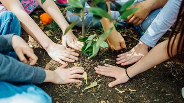 Hoje é celebrado o Dia Mundial do Meio Ambiente - Canva