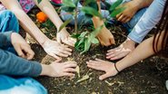 Hoje é celebrado o Dia Mundial do Meio Ambiente - Canva